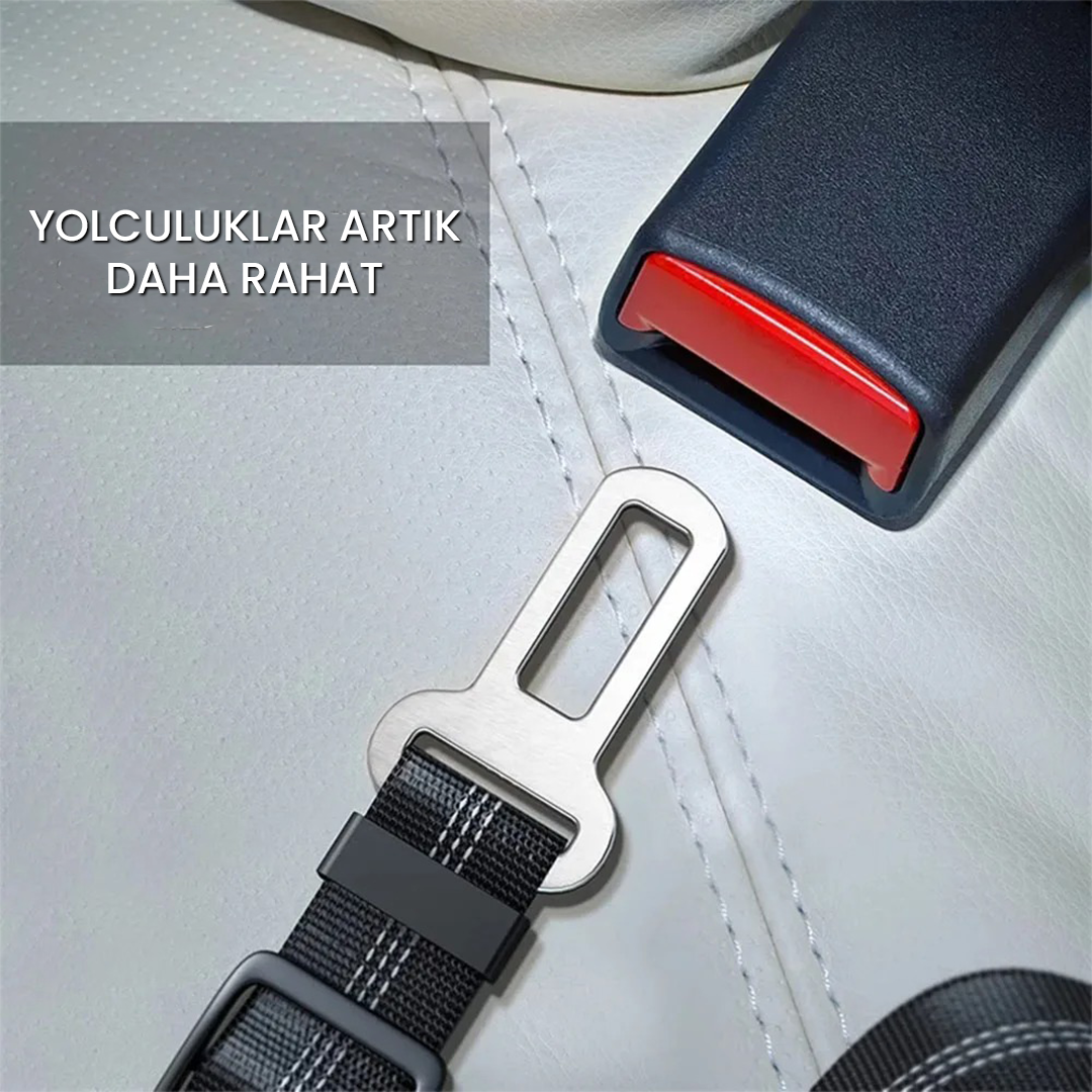 Emniyet Kemeri Uyumlu Kayış