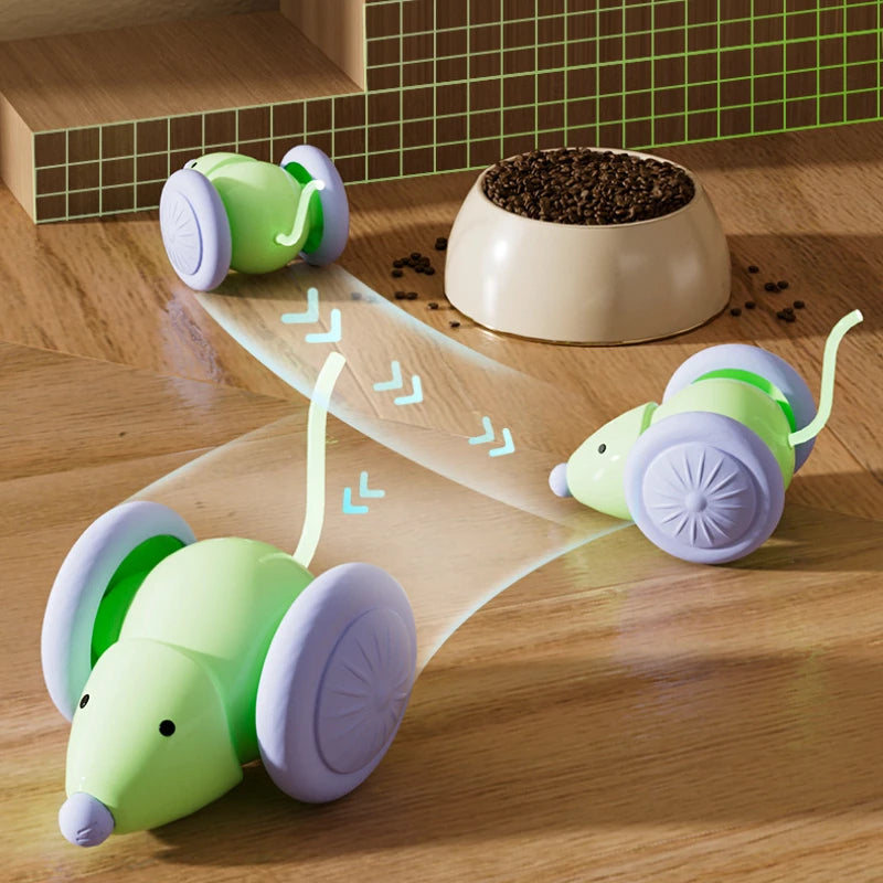 Köpek & Kedi Zihin Egzersiz Oyuncağı