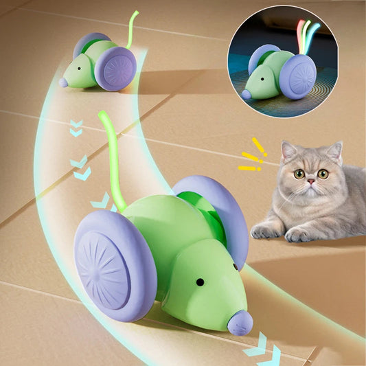 Köpek & Kedi Zihin Egzersiz Oyuncağı